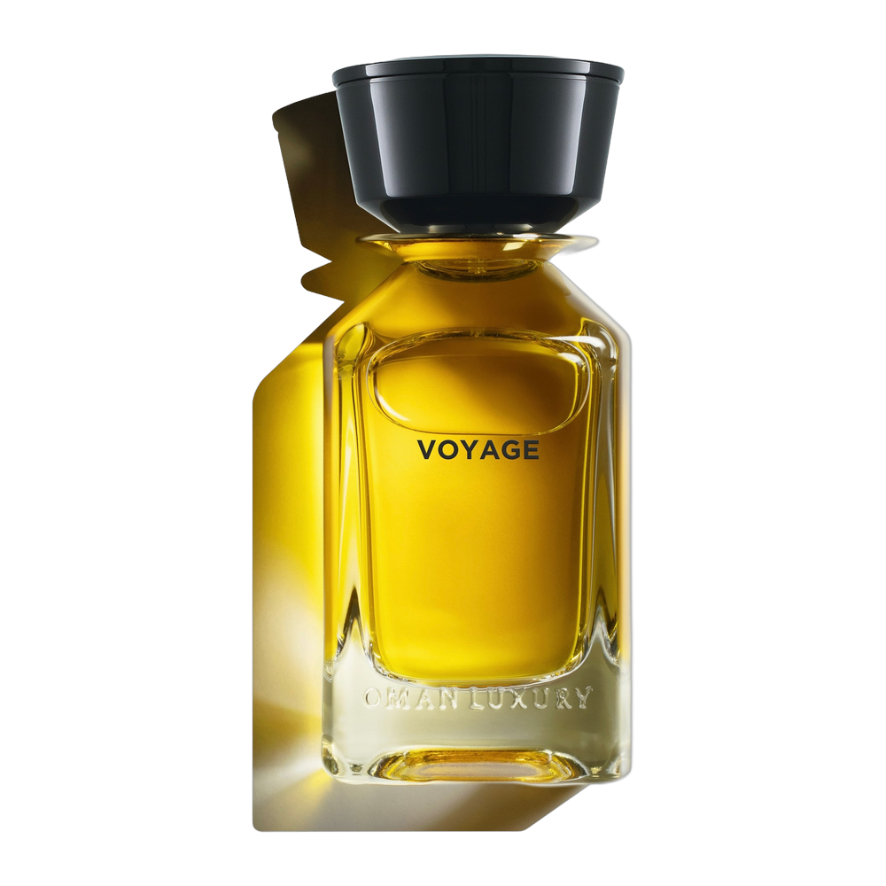 Voyage