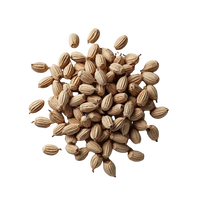Kümmel
