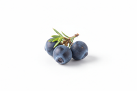 Wacholderbeeren