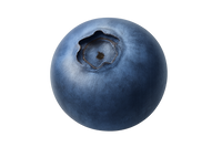 Blaubeere