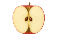 Apfel